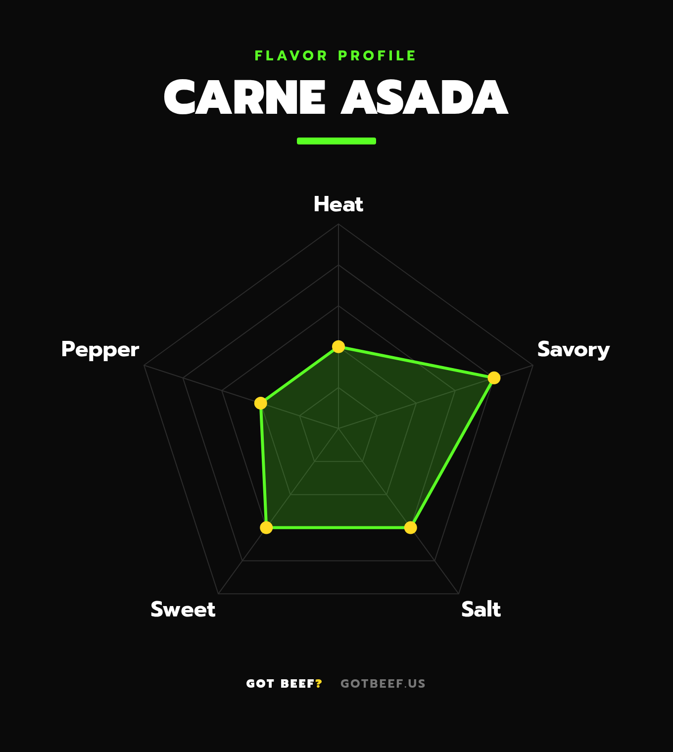 Carne Asada 3oz Bag